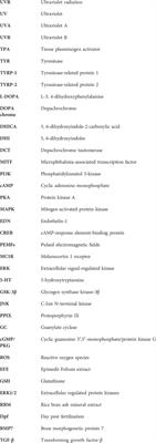 Zebrafish in dermatology: a comprehensive review of their role in investigating abnormal skin pigmentation mechanisms